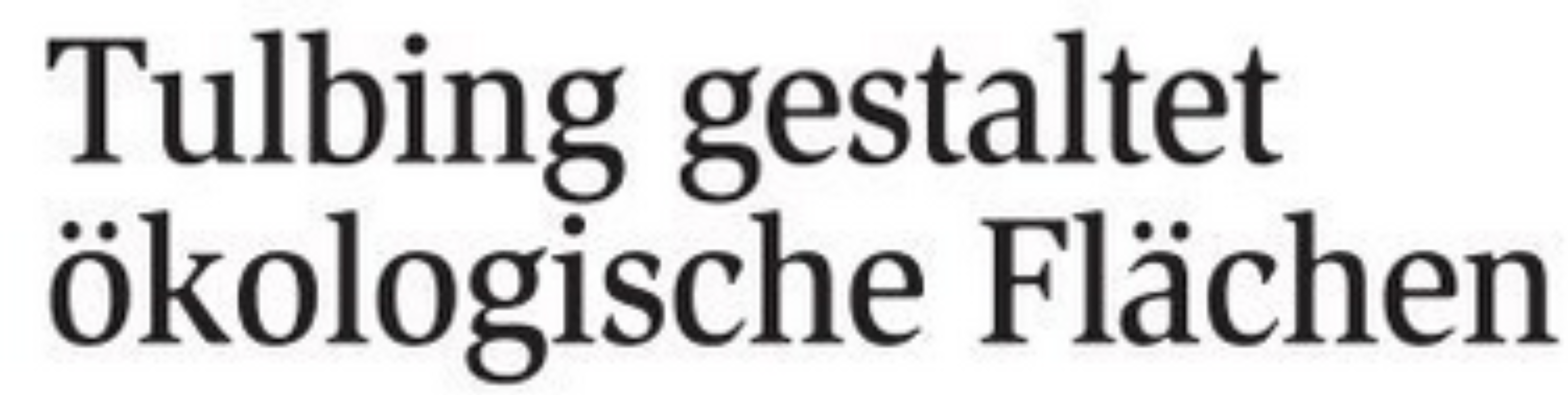 klar umfrage bericht klein