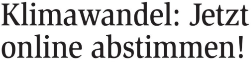 klar umfrage bericht klein